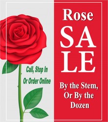 June Rose Sale !  in Kettering, Ohio, near Dayton, OH