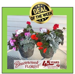 MAY Deal Of The Week in Kettering, Ohio, near Dayton, OH