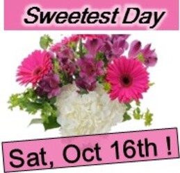 DESIGNERS CHOICE - SWEETEST DAY in Kettering, Ohio, near Dayton, OH