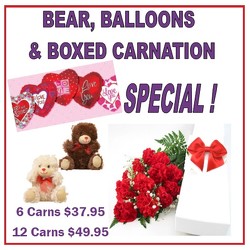 BEAR BOX AND BALLOONS SPECIAL in Kettering, Ohio, near Dayton, OH