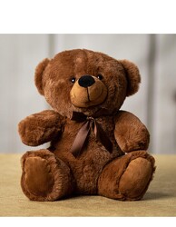TEDDY BEAR in Kettering, Ohio, near Dayton, OH