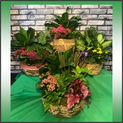 Blooming Garden Planters in Kettering, Ohio, near Dayton, OH