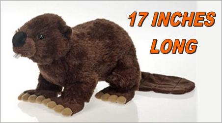 Stuffed Animal Fiesta Beaver in Kettering, Ohio, near Dayton, OH