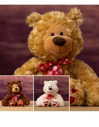  PAW HEART BEAR in Kettering, Ohio, near Dayton, OH