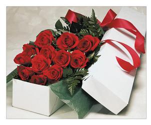 Roses Boxed - Red 