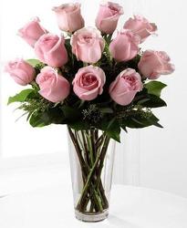 12 Soft Pink Roses