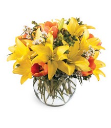 All Is Bright Bouquet in Beavercreek, Ohio, near Dayton, OH